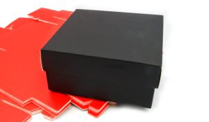 ΧΑΡΤΙΝΟ ΚΟΥΤΙ ME KAΠΑΚΙ 30cm x 23cm x 9cm 0402237/12 ΤΕΜΑΧΙΑ